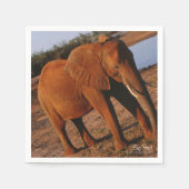 Big Red Serviette (Vorderseite)