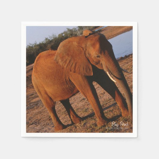 Big Red Serviette (Vorderseite)