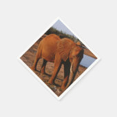 Big Red Serviette (Ecke)