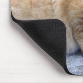 Big Red Tabby Mousepad (Ecke)