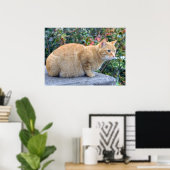 Big Red Tabby Poster (Heimbüro)