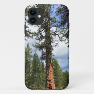 Big Red Tree, La Pine, OR Case-Mate iPhone Hülle
