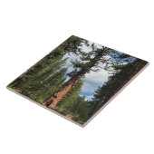 Big Red Tree, La Pine, OR Fliese (Seite)