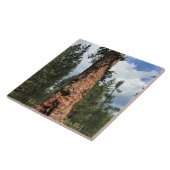 Big Red Tree, La Pine, OR Fliese (Seite)