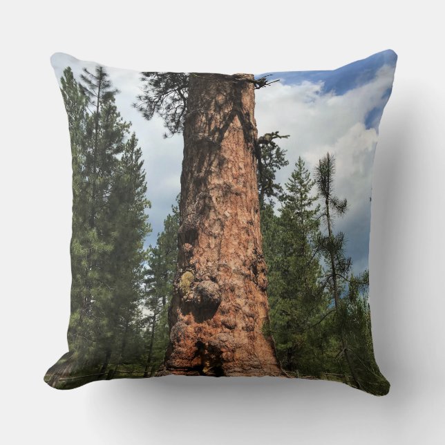 Big Red Tree, La Pine, OR Kissen (Vorderseite)