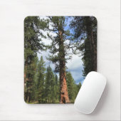 Big Red Tree, La Pine, OR Mousepad (Mit Mouse)