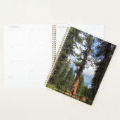 Big Red Tree, La Pine, OR Planer (Anzeige)