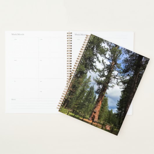Big Red Tree, La Pine, OR Planer (Anzeige)