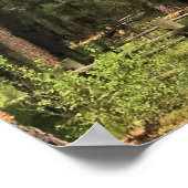 Big Red Tree, La Pine, OR Poster (Ecke)