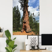 Big Red Tree, La Pine, OR Poster (Heimbüro)