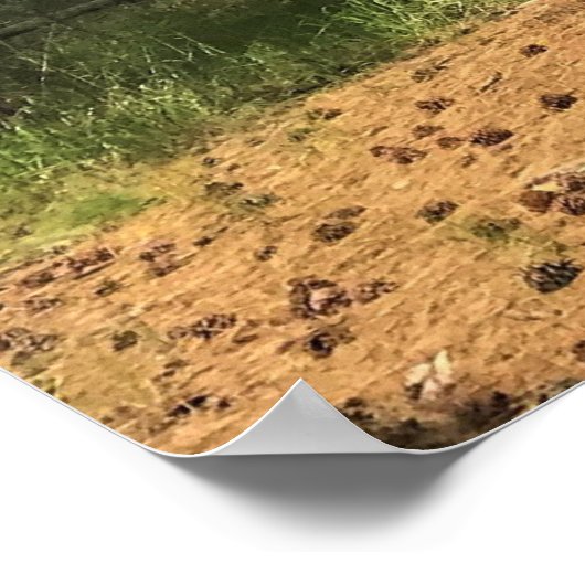 Big Red Tree, La Pine, OR Poster (Ecke)