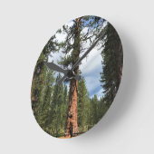Big Red Tree, La Pine, OR Runde Wanduhr (Winkel)