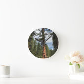 Big Red Tree, La Pine, OR Runde Wanduhr (Zuhause)