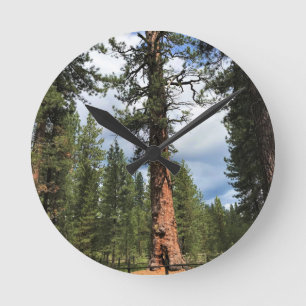 Big Red Tree, La Pine, OR Runde Wanduhr