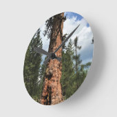 Big Red Tree, La Pine, OR Runde Wanduhr (Winkel)