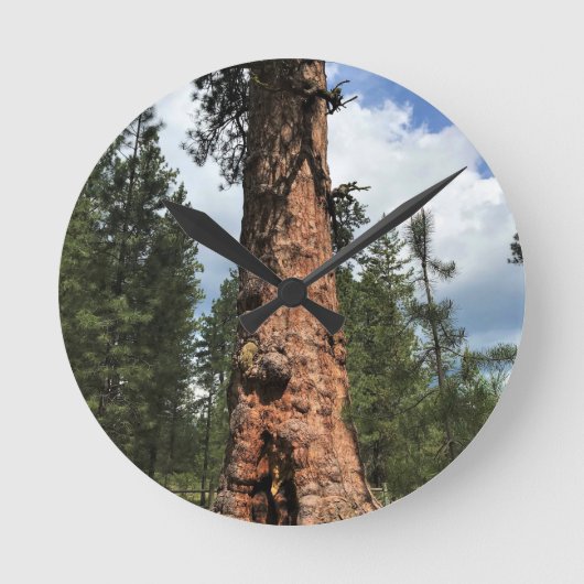 Big Red Tree, La Pine, OR Runde Wanduhr (Vorderseite)
