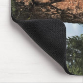 Big Red Tree, La Pine, Oregon Mousepad (Ecke)