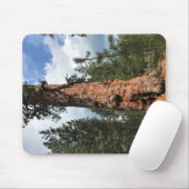 Big Red Tree, La Pine, Oregon Mousepad (Mit Mouse)