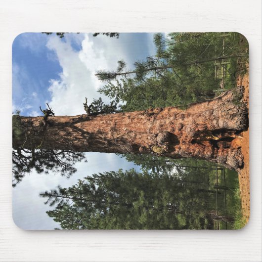 Big Red Tree, La Pine, Oregon Mousepad (Vorne)