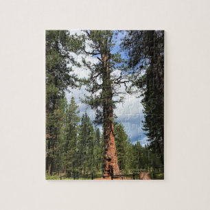 Big Red Tree, La Pine, Oregon Puzzle