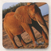Big Red Untersetzer (Vorderseite)