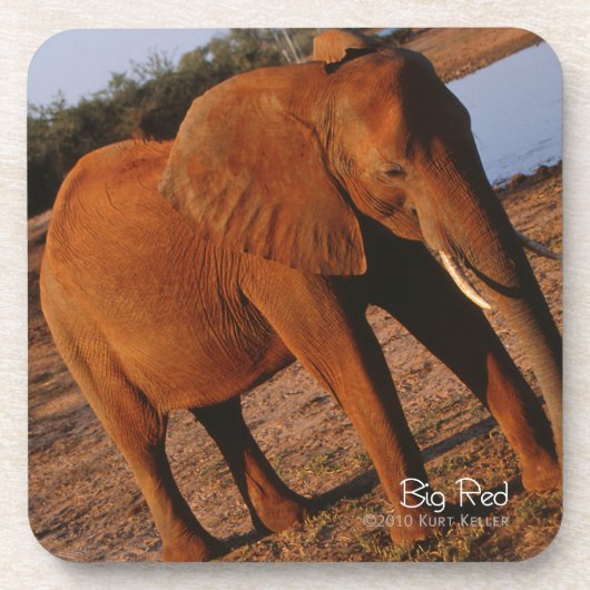 Big Red Untersetzer (Vorderseite)