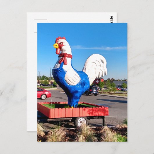 Big Rooster Postkarte (Vorne/Hinten)