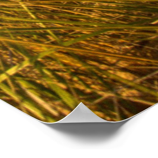 Big Sable Point Leuchtturm am Lake Michigan Poster (Ecke)