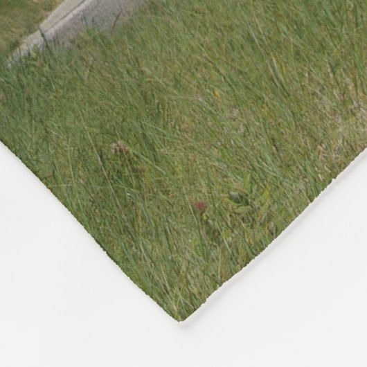 Big Sable Point Lighthouse Fleece Decke (Ecke)