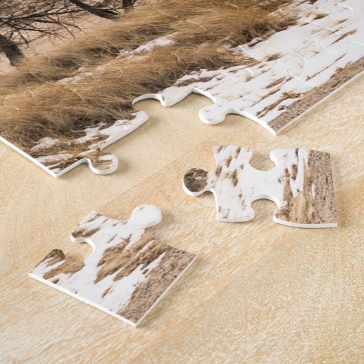 Big Sable Point Lighthouse in Ludington Puzzle (Seite)