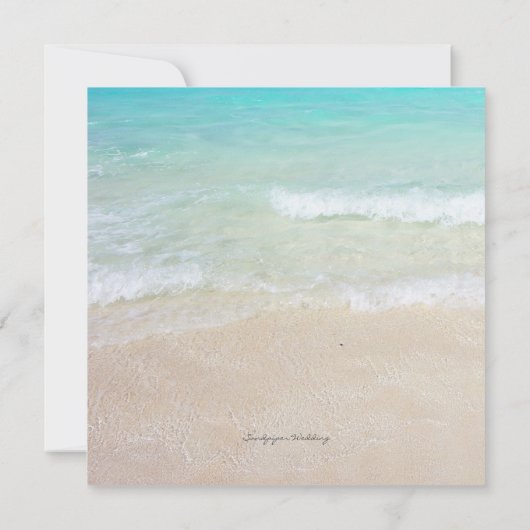 Big Sand Dollar Seaside Vow Renewal Einladung (Rückseite)