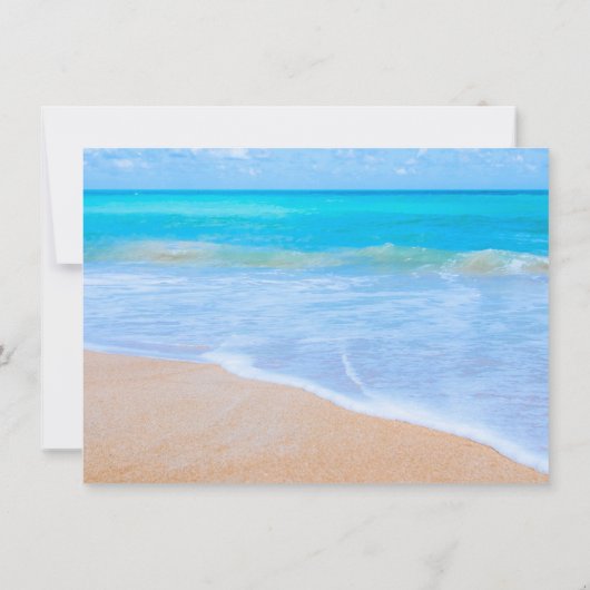 Big Sand Dollar Simple Save the Date Cards Einladung (Rückseite)