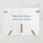 Big Sand Dollar Umzug zur Beach Postkarte (Vorderseite)