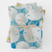 Big Sand Dollars Gemustert Flat Geschenkpapier Set (Beispiel)