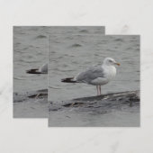 Big Seagul Flat Card (Vorne/Hinten)