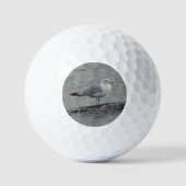 Big seagull golfball (Vorderseite)