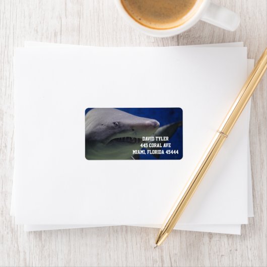 BIG SHARK CUSTOM Rücksendeadresse Adressaufkleber (Insitu)