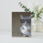 Big Shot Chinchilla Postkarte (Stehend Vorderseite)