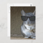 Big Shot Chinchilla Postkarte (Vorne/Hinten)