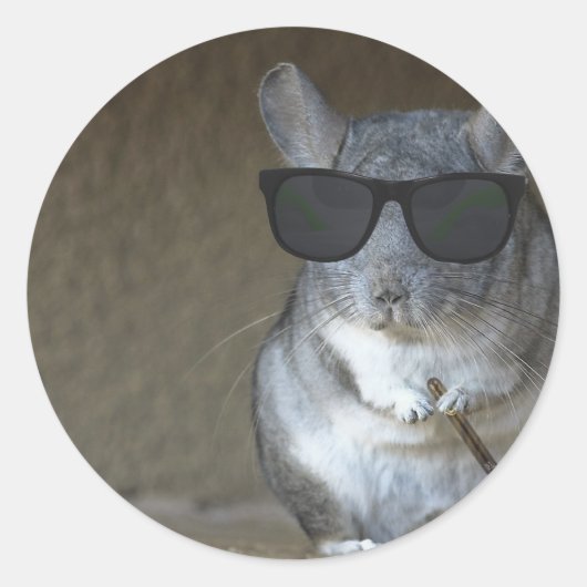 Big Shot Chinchilla Runder Aufkleber (Vorderseite)