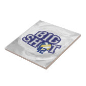 Big Shot Volleyball Fliese (Seite)