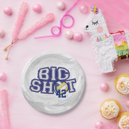 Big Shot Volleyball Pappteller (Party)