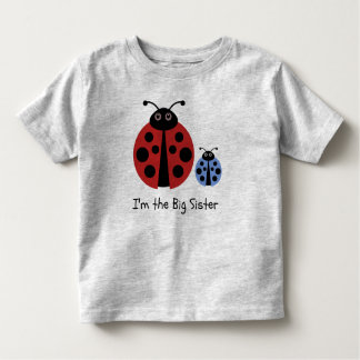 Big Sister Ladybird Shirt
