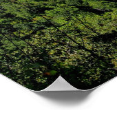 Big South Fork NRRA Poster (Ecke)