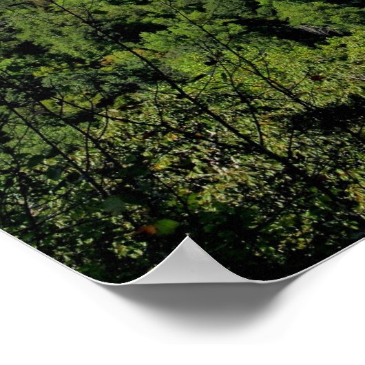 Big South Fork NRRA Poster (Ecke)