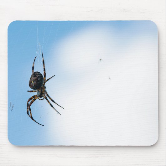 Big Spider Hanging from Web Mousepad (Vorne)