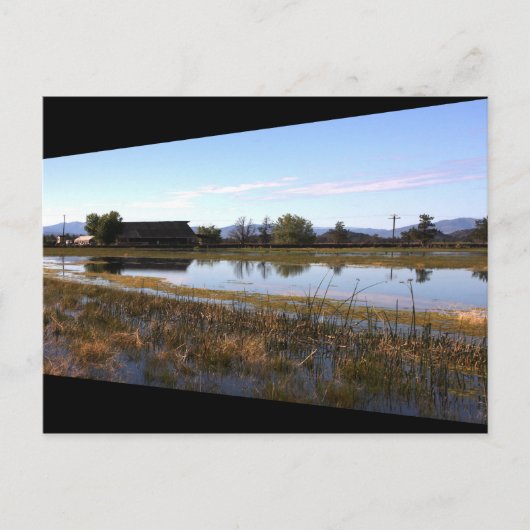 Big Springs Postkarte (Vorderseite)