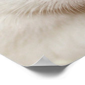 Big Star - Tac - Poster (Ecke)