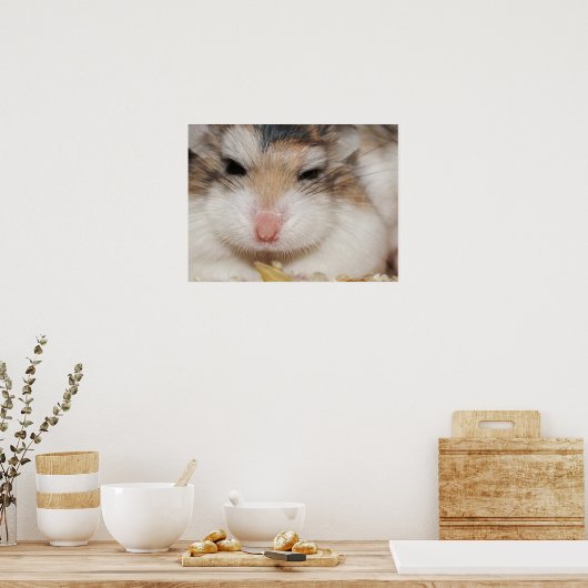 Big Star - Tac - Poster (Küche)