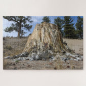 Big Stump Puzzle (Horizontal)